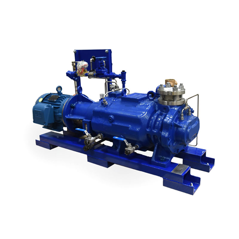Mga Dry Screw Vacuum Pump